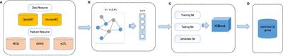 XGBG: A Novel Method for Identifying Ovarian Carcinoma Susceptible Genes Based on Deep Learning